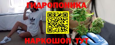 крисы Заволжье